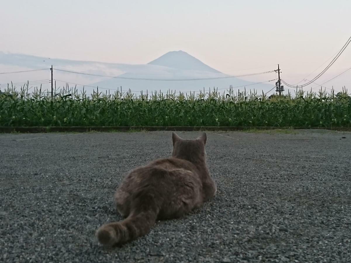 Lake Villa Kawaguchiko Fujikawaguchiko Zewnętrze zdjęcie